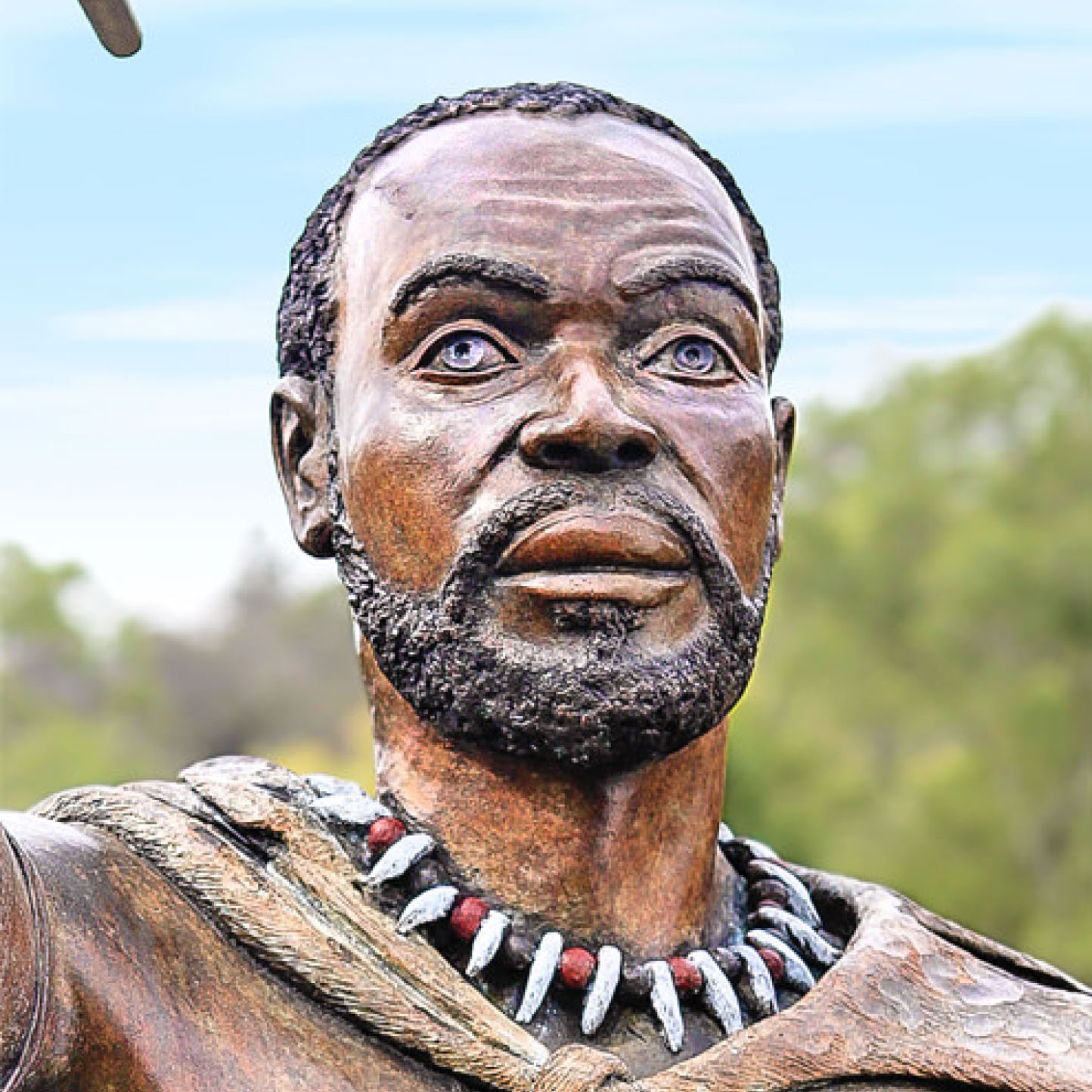 King Hintsa Ka Khawuta Of The House Of Phalo image